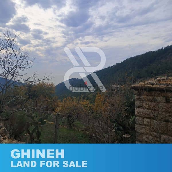 Land for sale at Ghineh- أرض للبيع في الغينة 1