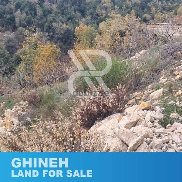 Land for sale at Ghineh- أرض للبيع في الغينة 2