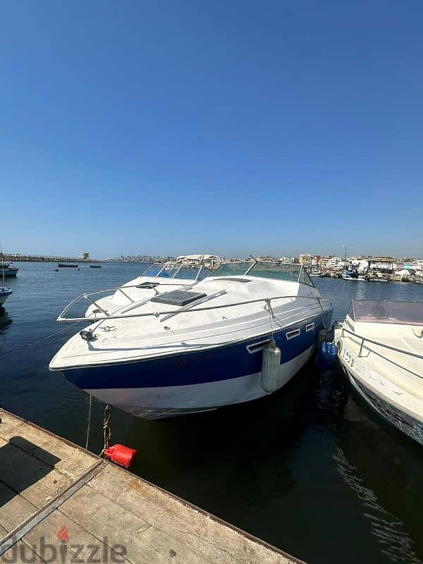 Boats with room moteurs suzuki 300 clean + with parking مينا الاوزاعي 5