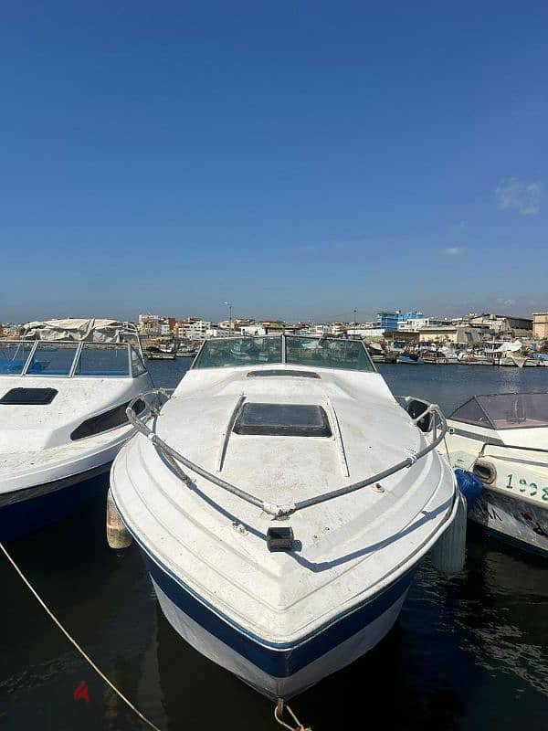 Boats with room moteurs suzuki 300 clean + with parking مينا الاوزاعي 6