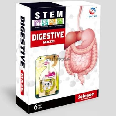 Stem Digestive Maze Learning Kit