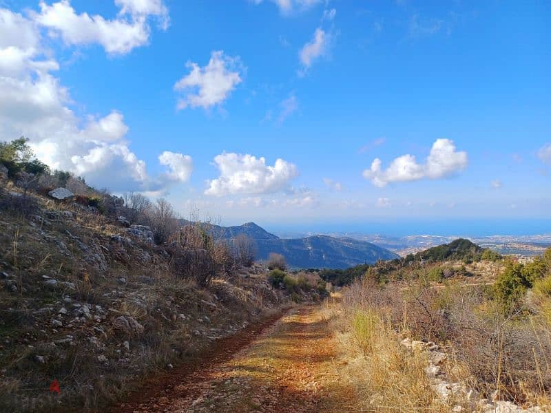 أرض مطلة ببلدة دوما الجميلة ،صالحة لمشروع سياحي بانغالوز 0