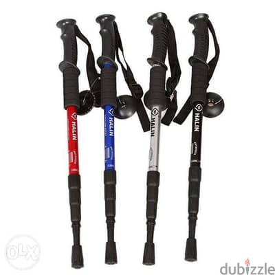 hiking sticks at the best price