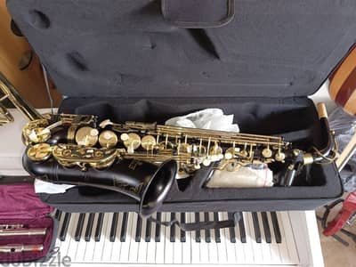 saxophone alto black color