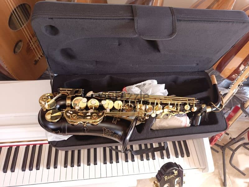 saxophone alto black color 2