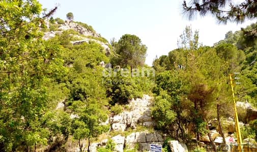 Land For Sale In Baabdat baa0117dpst