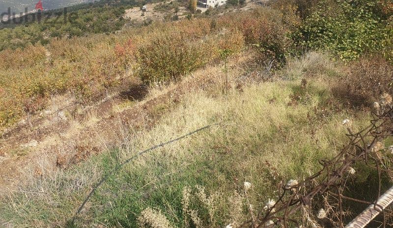 37800m2 Land in Jrabta,Batroun عقار للبيع في جربتا ،البترون 0