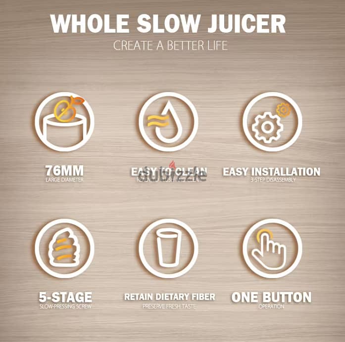 DSP whole slow juicer, 250W, 1Ltr, KJ3071 3