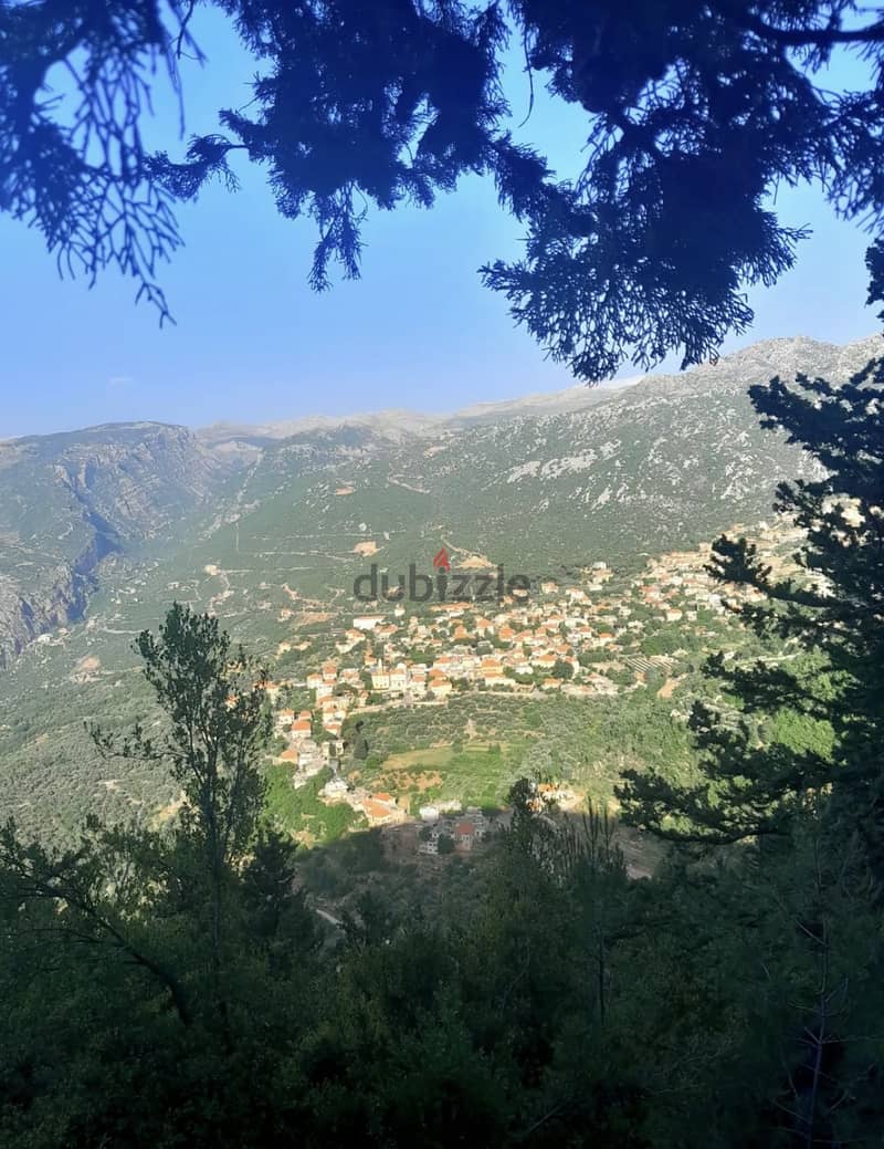 Land for sale in Tarchich ارض للبيع في ترشيش 0