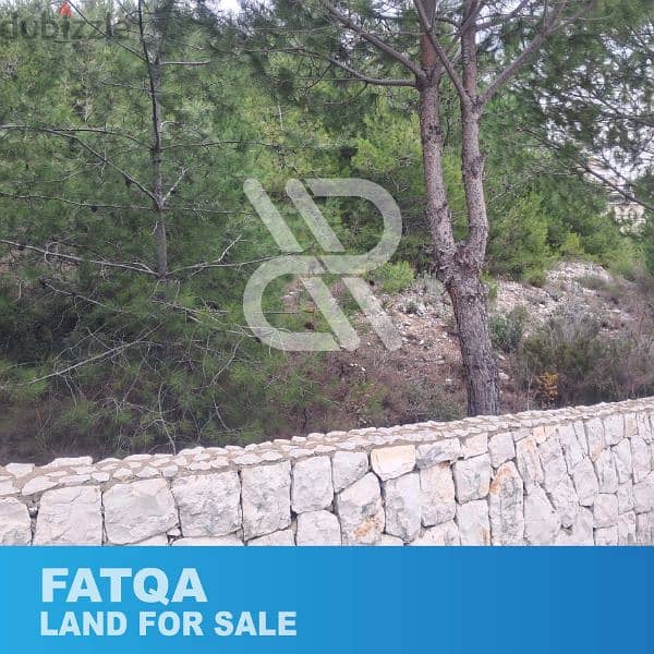 Land for sale at Fatqa - أرض للبيع في فتقا 1