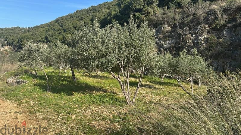 land for sale located batroun ( 14 min away ) 3