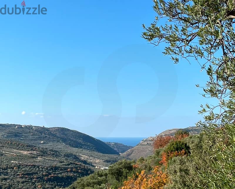 land with over 400 mature olive trees, views, koura/كورة REF#NM114849 1