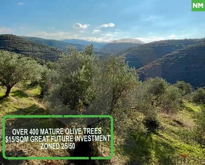 land with over 400 mature olive trees DARSHMIZINE - KOURA REF#NM114849