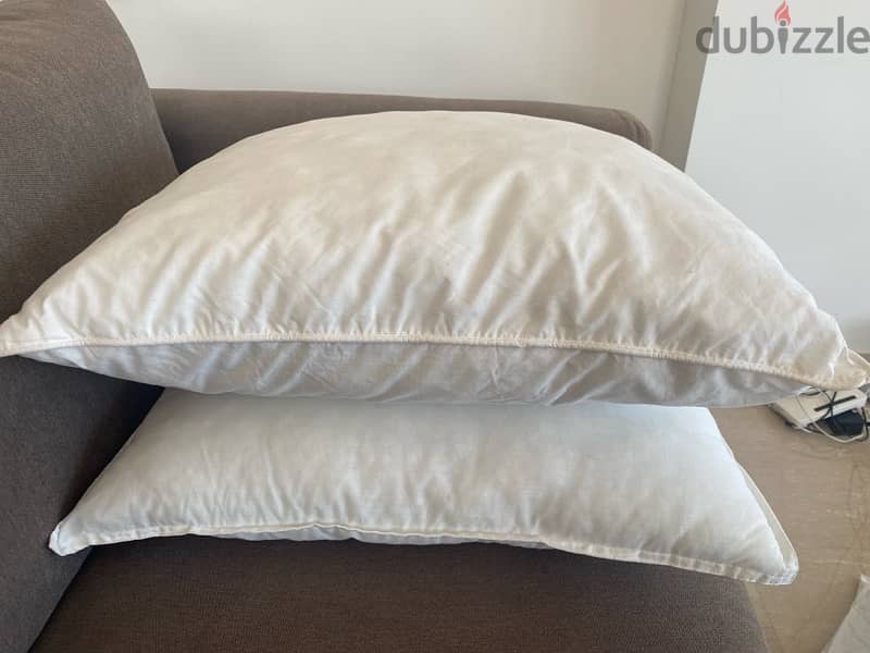 2 pillows (covers 50x60 cm) 0