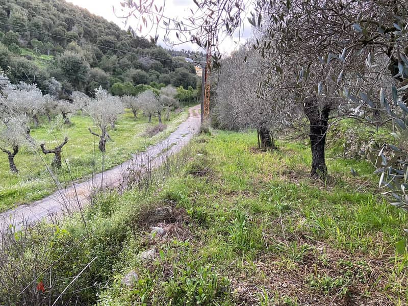 Prime 630 sqm Land in Jran El Batroun 1