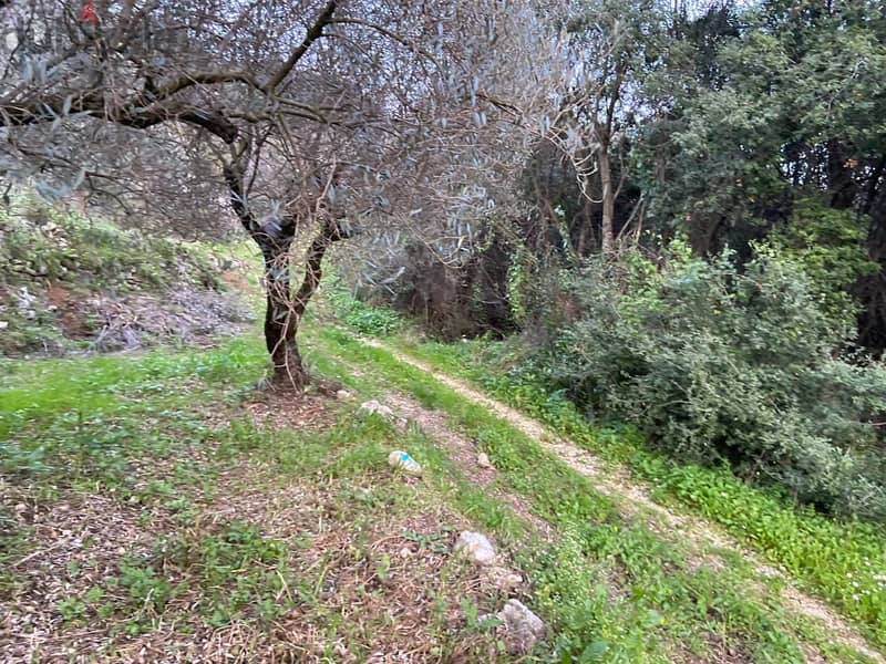 Prime 630 sqm Land in Jran El Batroun 2