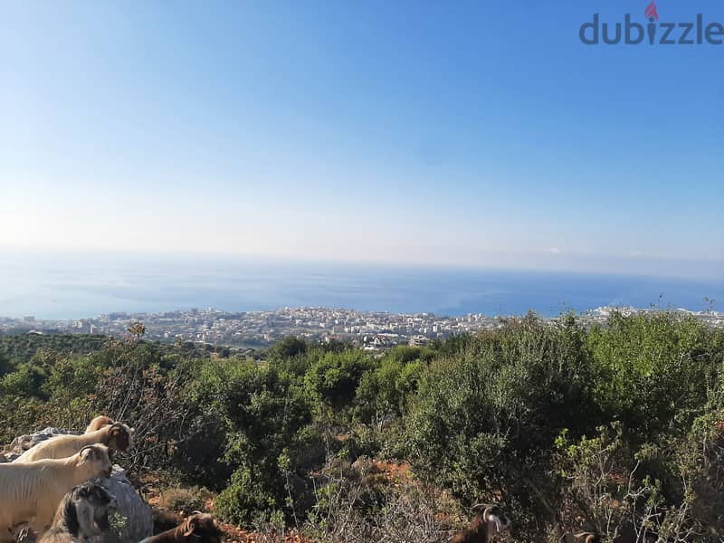 Prime 1200m² Land with Panoramic Sea View in Batroun 0