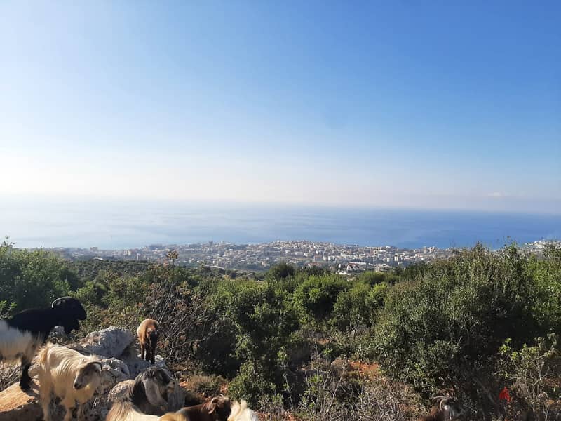 Prime 1200m² Land with Panoramic Sea View in Batroun 1