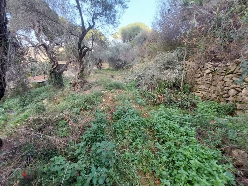 4000 Sqm | Land For Sale In Wadi Chahrour | Mountain View 1