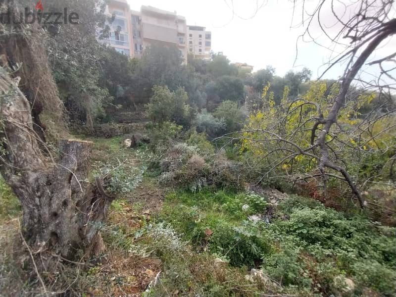 4000 Sqm | Land For Sale In Wadi Chahrour | Mountain View 3