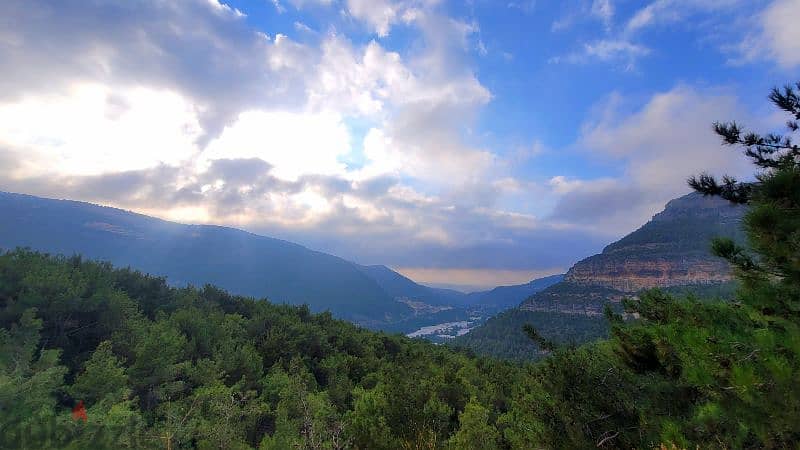 Hardin Batroun Flat Land 2250 SQM In the heart of Pine Forest 0