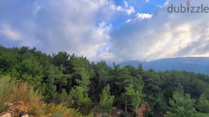 Hardin Batroun Flat Land 2250 SQM In the heart of Pine Forest 1