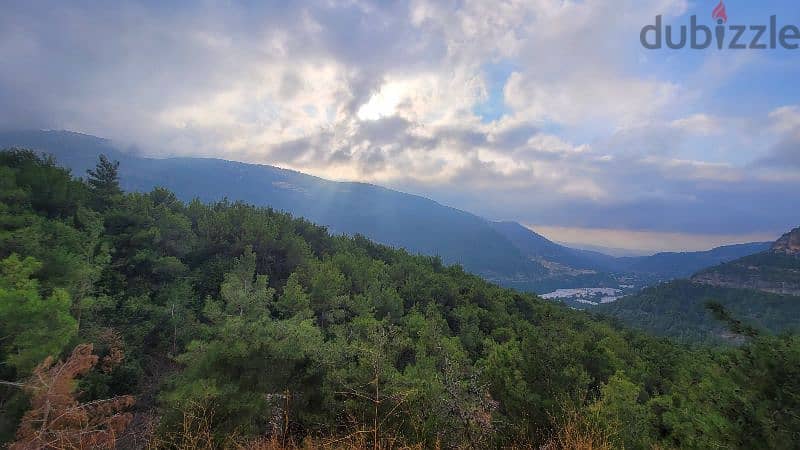 Hardin Batroun Flat Land 2250 SQM In the heart of Pine Forest 3