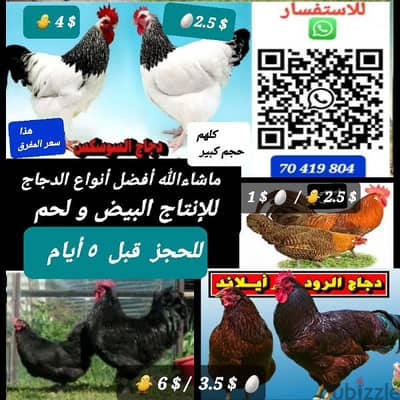 أول عرمون وخلدة