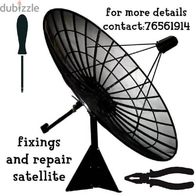 satellite and computer hardware and software services