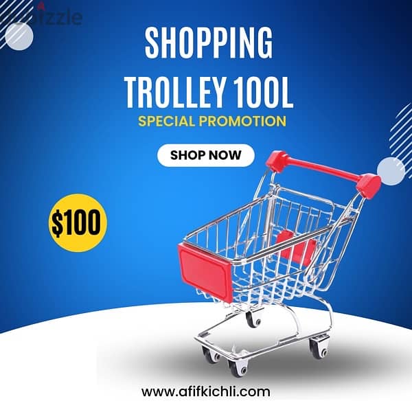 Trolley & Basket for Supermarket & Stores 4