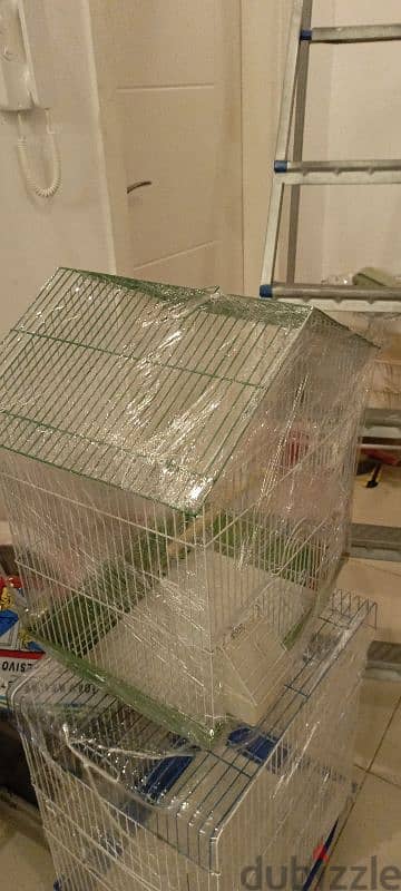 bird cage 1