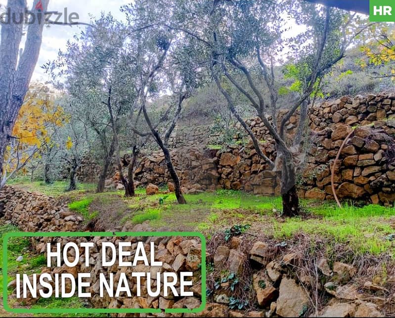 Hot deal, inside nature, baabda, hamana, btebyat/بتبيات  REF#HR115819 0