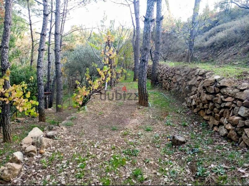 Hot deal, inside nature, baabda, hamana, btebyat/بتبيات  REF#HR115819 1