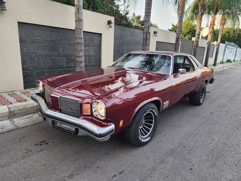 Buick Other 1973 0