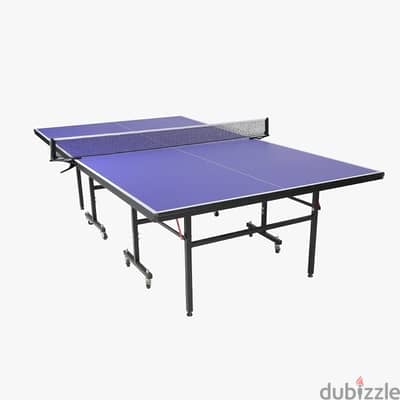 Ping pong table