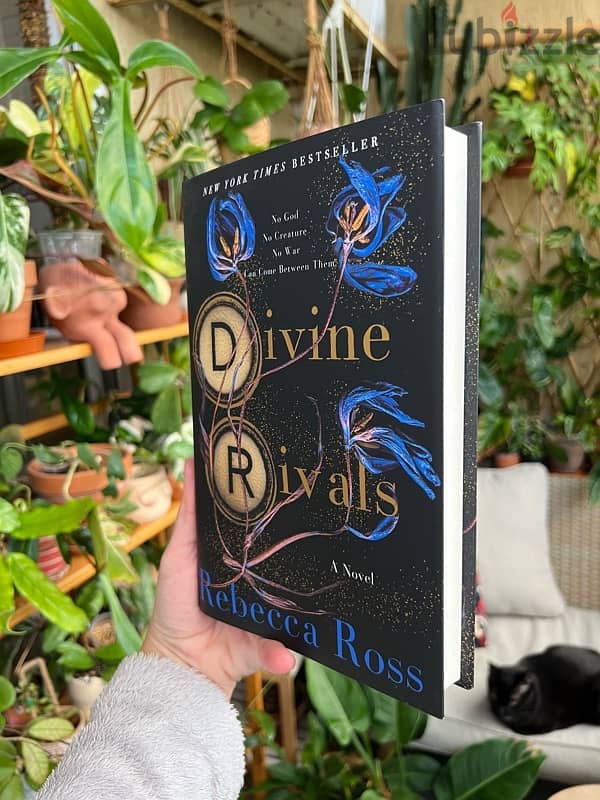 Book Divine Rivals 1