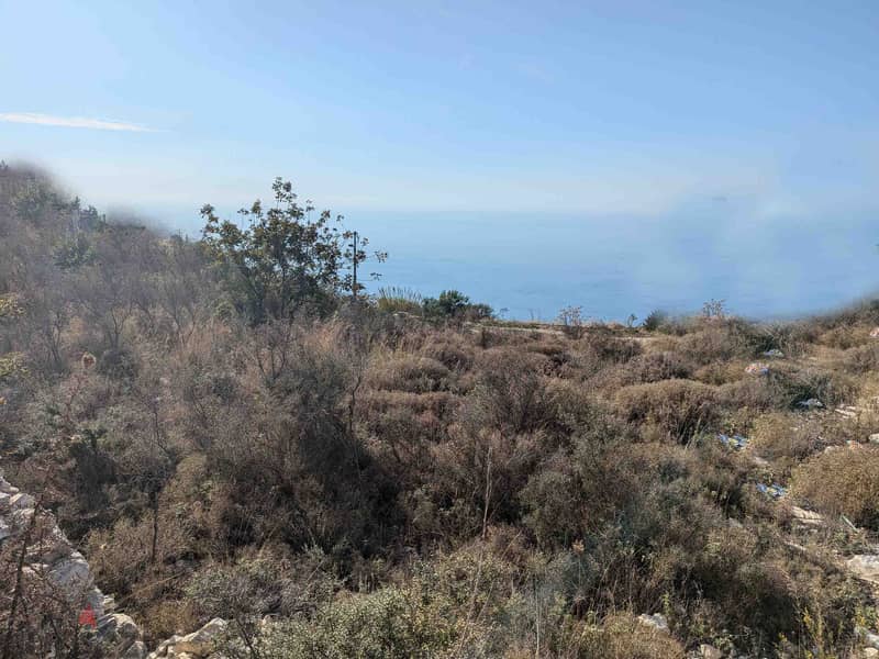 Land For Sale In Halate | Sea View | أرض للبيع | PLS 26219 6