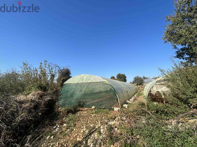 Land For Sale In Hboub | 1050 SQM | أرض للبيع | حبوب | PLS 26220 1