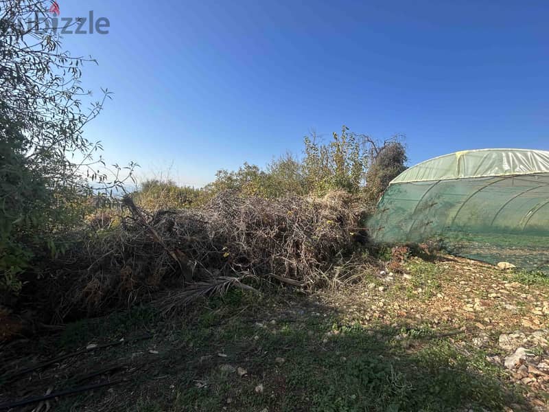 Land For Sale In Hboub | 1050 SQM | أرض للبيع | حبوب | PLS 26220 2