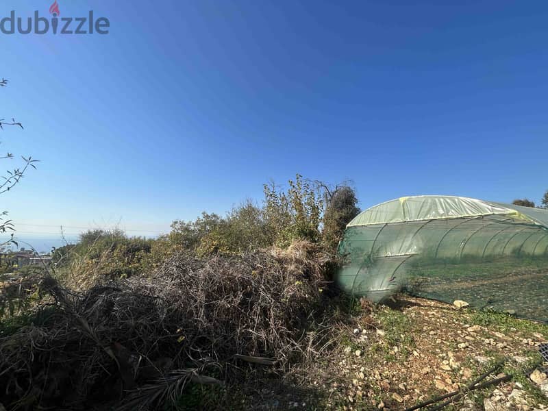 Land For Sale In Hboub | 1050 SQM | أرض للبيع | حبوب | PLS 26220 3