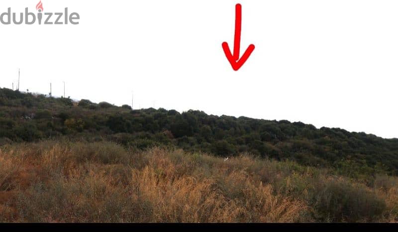 land for sale in kfarabida أرض للبيع في كفرعبيدا ٢٨٠$/م 1