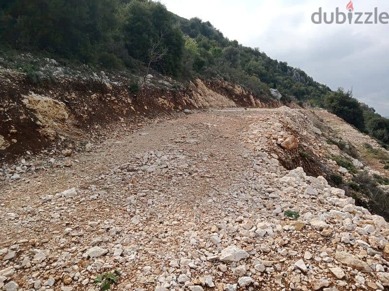 land for sale in dael batroun أرض للبيع في داعل البترون ٢٢$/م 0