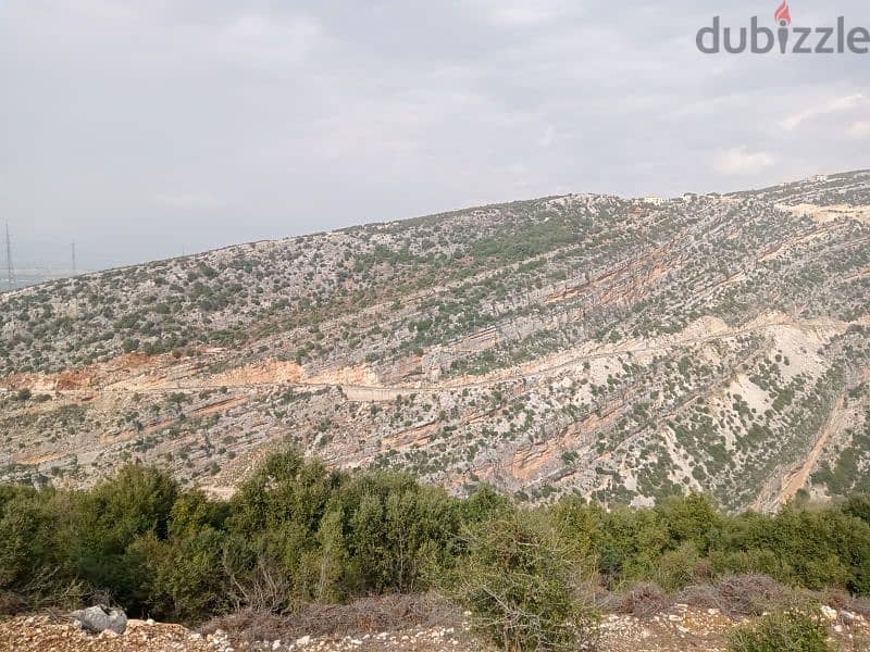 land for sale in dael batroun أرض للبيع في داعل البترون ٢٢$/م 2