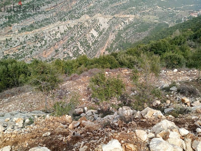 land for sale in dael batroun أرض للبيع في داعل البترون ١٨$/م 3