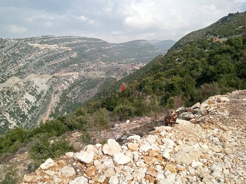 land for sale in dael batroun أرض للبيع في داعل البترون ٢٢$/م 4