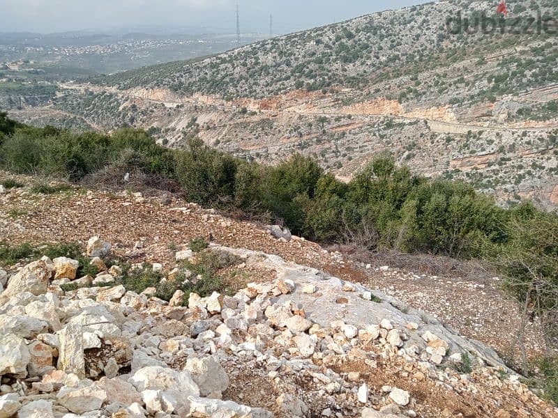 land for sale in dael batroun أرض للبيع في داعل البترون ١٨$/م 6