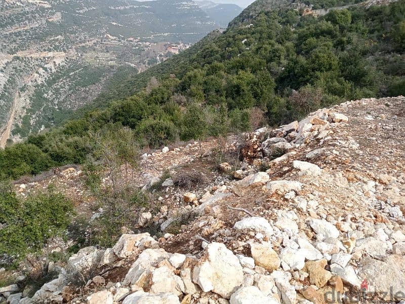 land for sale in dael batroun أرض للبيع في داعل البترون ٢٢$/م 7