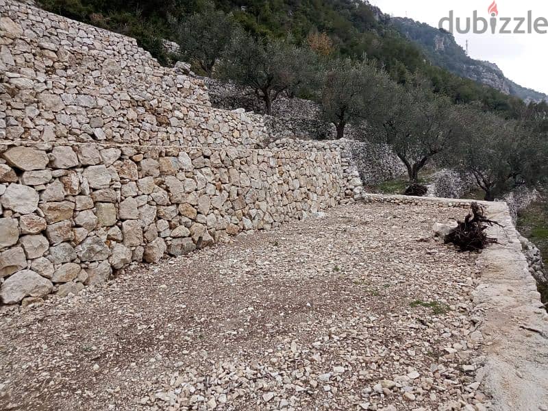 land for sale in douma أرض للبيع في دوما ٤٥،٠٠٠$ 1