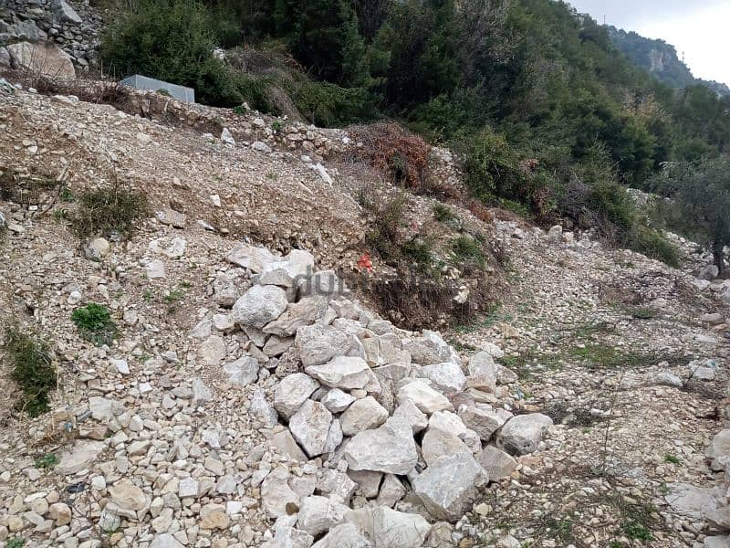 land for sale in douma أرض للبيع في دوما ٤٥،٠٠٠$ 6