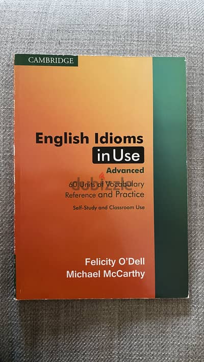 English Idioms in use- advanced